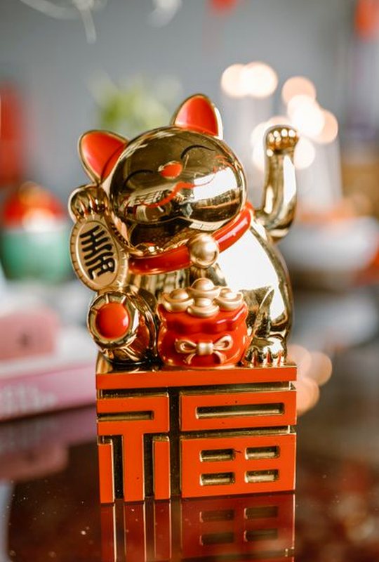 phản hồi Nohu